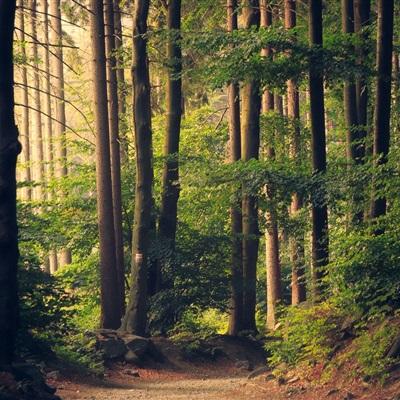 博鱼·boyu体育截图