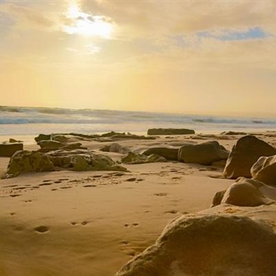 BOB体育综合官方平台官网App