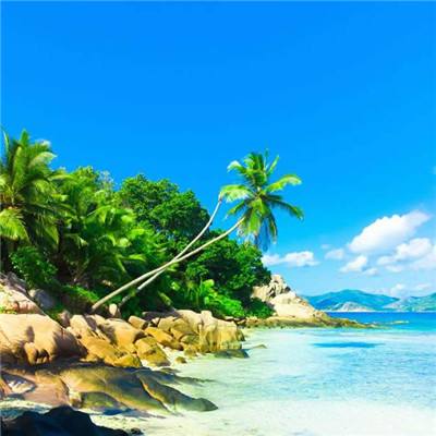 银河棋牌下载手机版